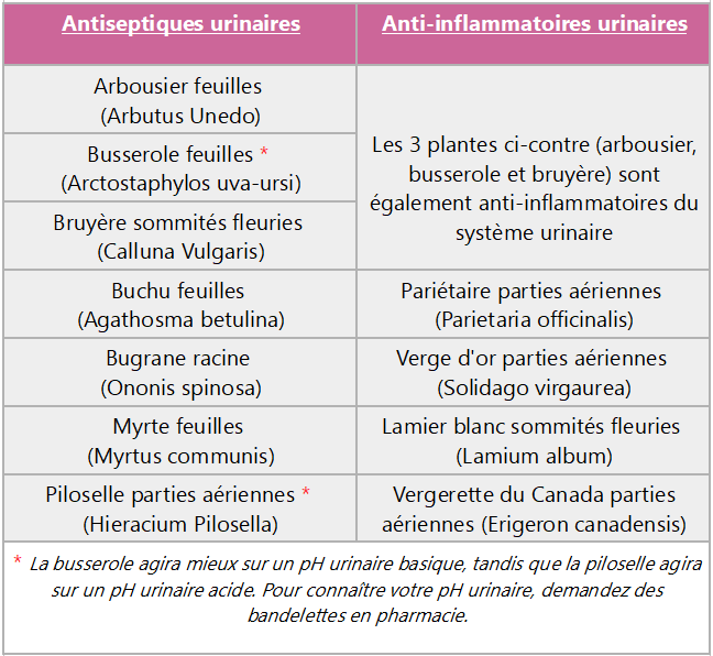 tableau des traitements naturels contre les infections urinaires 