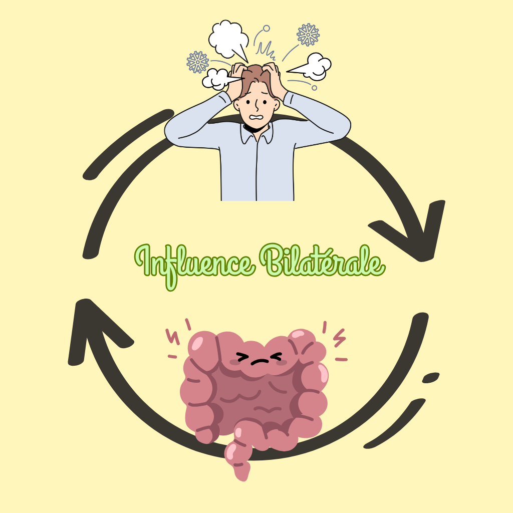 causes du stress chronique liées à l’axe intestin cerveau