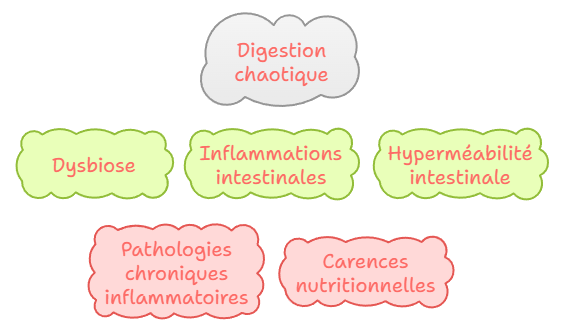 Effets d’une mauvaise digestion sur la santé selon les combinaisons alimentaires